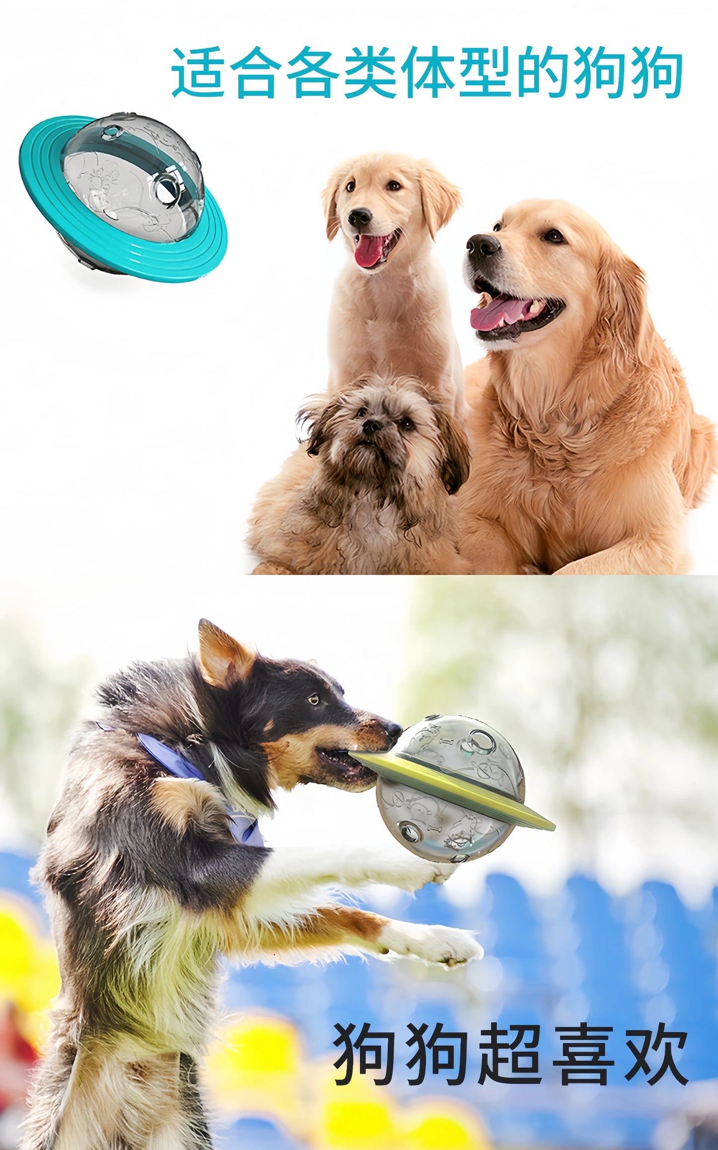 Elliptical Track Rolling Ball Leaky Food Interactive Pet Toy